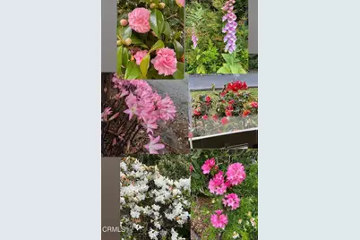 31400 Sherwood Road, Fort Bragg, CA 95437 - Photo 11