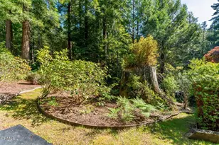 33100 Frog Pond Rd, Little River, CA 95456 - Photo 51