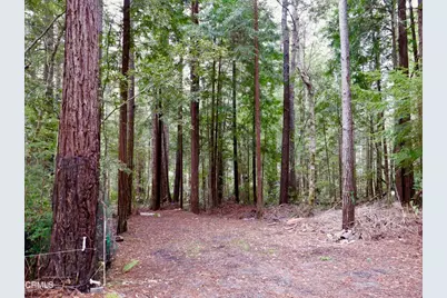 33100 Frog Pond Road, Little River, CA 95456 - Photo 47