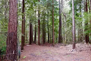 33100 Frog Pond Rd, Little River, CA 95456 - Photo 47