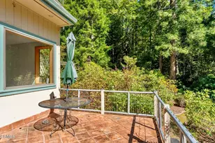 33100 Frog Pond Rd, Little River, CA 95456 - Photo 39