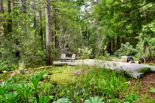 33100 Frog Pond Rd, Little River, CA 95456 - Photo 49