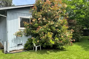 1291 Sirah Ct, Ukiah, CA 95482 - Photo 3