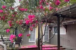 43300 Little River-Airport Rd, Little River, CA 95456 - Photo 27