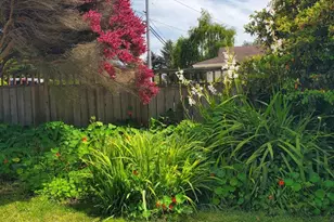 151 Dana St, Fort Bragg, CA 95437 - Photo 23
