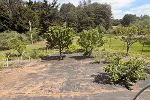 27030 Hwy 1, Fort Bragg, CA 95437 - Photo 29