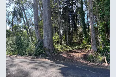 32021 Boice Lane, Fort Bragg, CA 95437 - Photo 5