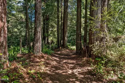 32500 Nameless Lane, Fort Bragg, CA 95437 - Photo 37