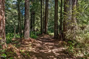 32500 Nameless Ln, Fort Bragg, CA 95437 - Photo 37