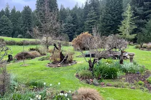31501 Comptche Ukiah Rd, Comptche, CA 95427 - Photo 63