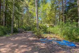 6575 Rd 18, Little River, CA 95456 - Photo 15