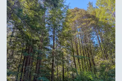 6575 Road 18, Little River, CA 95456 - Photo 13