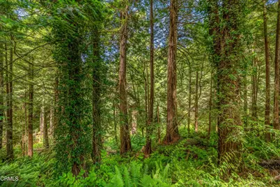 32000 Forest Lane, Fort Bragg, CA 95437 - Photo 35