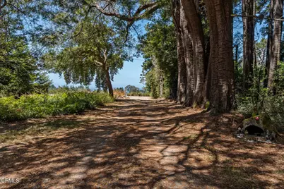 44660 Caspar Orchard Road, Caspar, CA 95420 - Photo 41