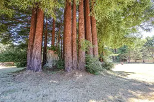21540 Bald Hill Rd, Fort Bragg, CA 95437 - Photo 33