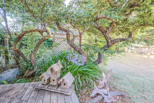 21540 Bald Hill Rd, Fort Bragg, CA 95437 - Photo 17