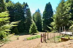 26361 Blueberry Hill Rd, Fort Bragg, CA 95437 - Photo 21