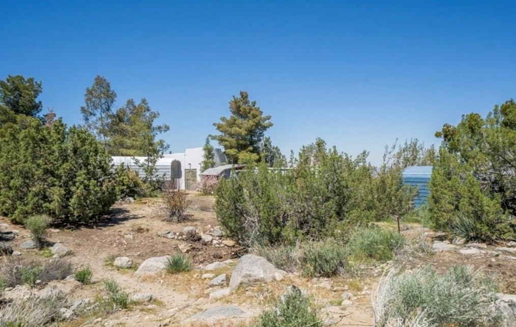 1568 Smoke Tree Rd, Pinon Hills CA  92372-9832 exterior