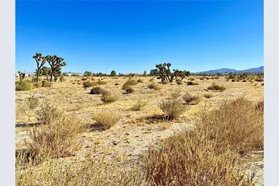 11975 Primavera Road, Pinon Hills, CA 92372 - Photo 11