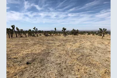 10823 Daisy Court Lane, Pinon Hills, CA 92372 - Photo 1