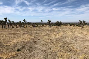 10823 Daisy Ct Ln, Pinon Hills, CA 92372 - Photo 1