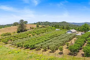 2645 Apple Ln, Julian, CA 92036 - Photo 57