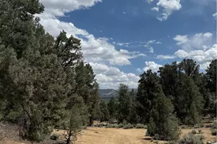 98011 Maine Rd, Kennedy Meadows, CA 93527 - Photo 39