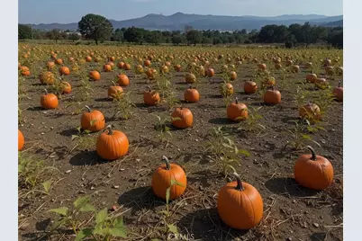 22060 Olivas Avenue, Nuevo, CA 92567 - Photo 21