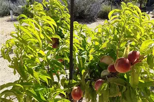 9025 Camp Rock Rd, Lucerne Valley, CA 92356 - Photo 37