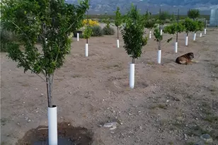 9025 Camp Rock Rd, Lucerne Valley, CA 92356 - Photo 35