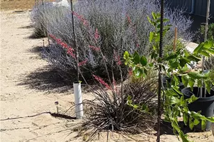 9025 Camp Rock Rd, Lucerne Valley, CA 92356 - Photo 39