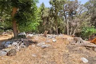 501 S Mountain Ave, Mount Baldy, CA 91759 - Photo 21