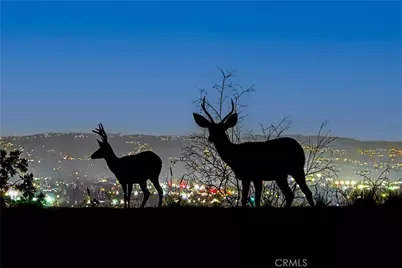 947 N Glendora Avenue, Glendora, CA 91741 - Photo 59