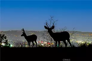 947 N Glendora Ave, Glendora, CA 91741 - Photo 59