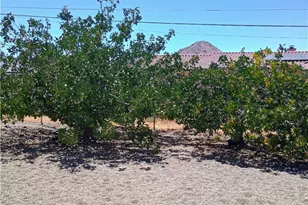 16594 Tenaja Rd, Apple Valley, CA 92307 - Photo 5