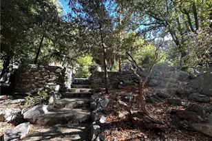 49 Ice House Canyon Rd, Mount Baldy, CA 91759 - Photo 7