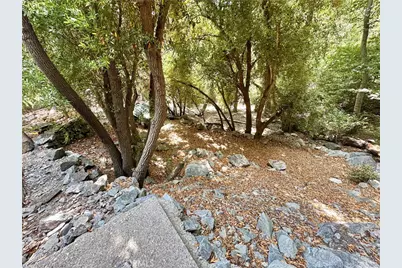 49 Ice House Canyon Road, Mount Baldy, CA 91759 - Photo 21