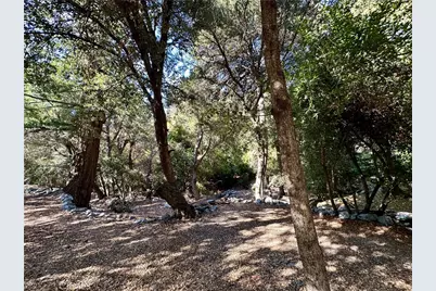 49 Ice House Canyon Road, Mount Baldy, CA 91759 - Photo 31