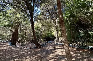 49 Ice House Canyon Rd, Mount Baldy, CA 91759 - Photo 31