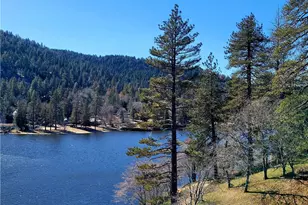 450 Dart Canyon Rd, Crestline, CA 92325 - Photo 43