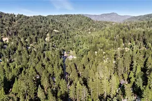 373 Redwood Ln, Crestline, CA 92325 - Photo 73