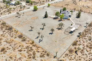 11574 Silver Rock Rd, Pinon Hills, CA 92372 - Photo 49