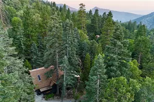 6301 Cedar Ave, Angeles Oaks, CA 92305 - Photo 41