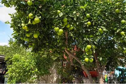 6757 Clifford, Riverside, CA 92504 - Photo 3