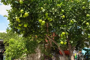 6757 Clifford, Riverside, CA 92504 - Photo 3