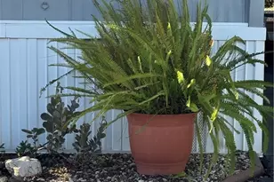 301 E Foothill, Pomona, CA 91767 - Photo 9