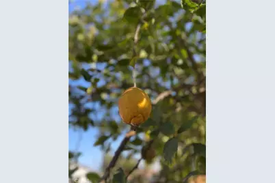 218 W Gardner, Long Beach, CA 90805 - Photo 41