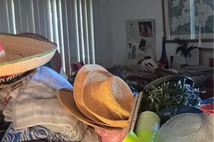 4527 Kickapoo Ct, San Diego, CA 92117 - Photo 13