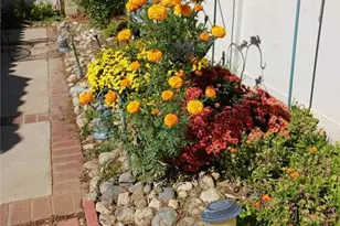 6353 Colonial, Banning, CA 92220 - Photo 15