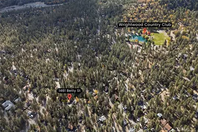 1461 Betty Street, Wrightwood, CA 92397 - Photo 33